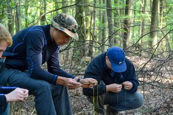 Zwei Personen knien im Wald und bearbeiten Pflanzenmaterial