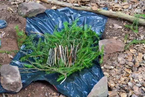 Zweige und Tannenzweige auf schwarzer Plane, umgeben von Steinen