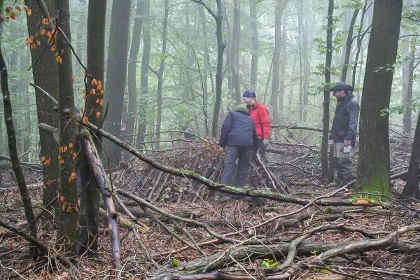 Drei Personen arbeiten im Wald an einer Holzstruktur aus Ästen