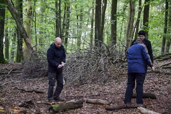 Drei Personen sammeln Äste und Holzstücke im Wald für eine Konstruktion