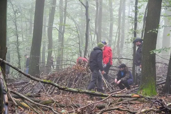 Gruppe baut eine Notunterkunft aus Ästen und Laub im Wald
