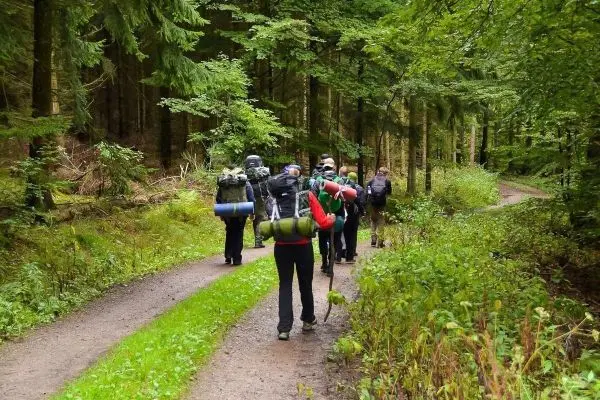 Gruppe von Personen wandert mit Rucksäcken auf einem Waldweg