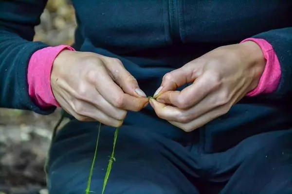 Hände flechten Gräser zu einer Schnur oder einem Band