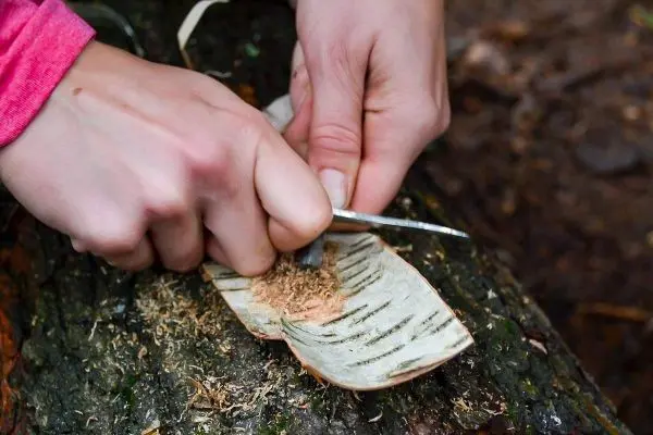 Holzstück wird mit einem Messer bearbeitet, um Zunder zu erzeugen