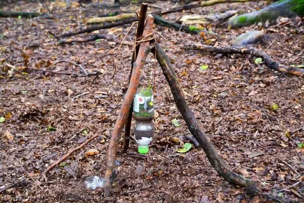 Improvisierte Wasseraufbewahrung aus Ästen und Plastikflasche