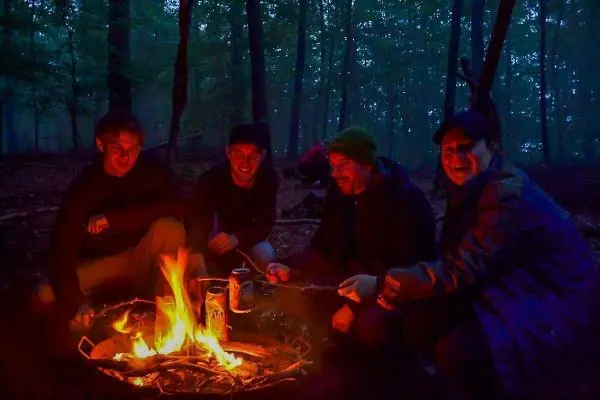 Kleine Flamme brennt in einem Lagerfeuer im Wald