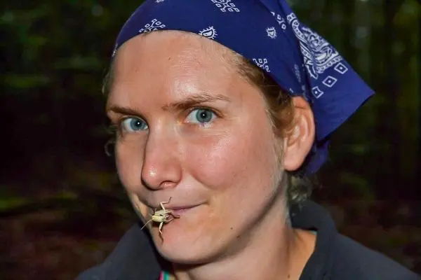 Kleine Frösche sitzen auf der Lippe einer Person im Wald