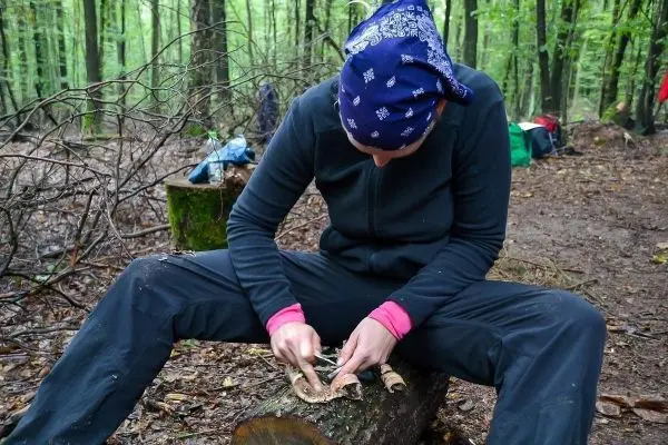 Messer schnitzt Holzstück auf einem Baumstamm im Wald