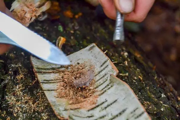 Person bearbeitet Holzstück mit Messer und Zündmaterial beim Überlebenstraining