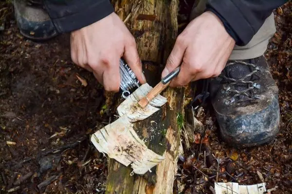 Person bearbeitet Rinde mit einem Messer auf einem Baumstamm beim Überlebenstraining