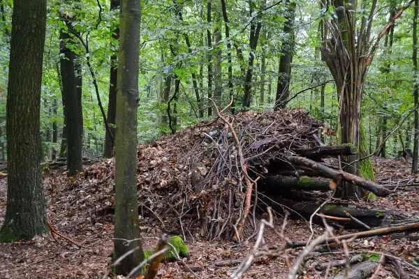 Selbstgebaute Laubhütte aus Ästen und Blättern im Wald