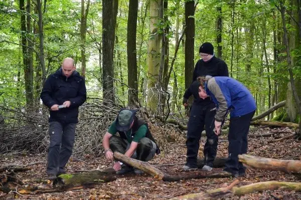 Vier Personen arbeiten im Wald an einem Holzstück auf dem Boden
