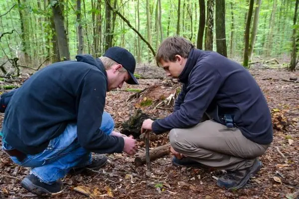 Zwei Personen bauen eine Feuerstelle im Wald auf