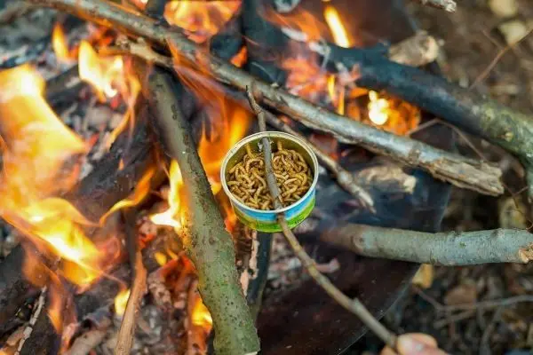 Dose mit Insekten wird über einem offenen Feuer erhitzt