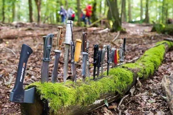 Eine Reihe von Messern und einer Axt stehen in einem moosbedeckten Baumstamm im Wald