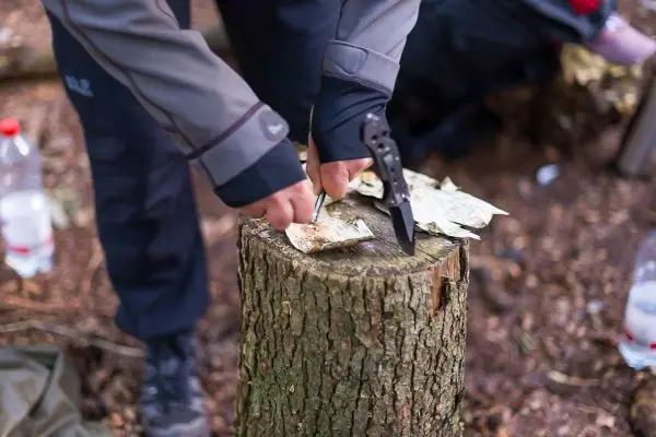 Messer schneidet Rinde auf einem Baumstumpf im Wald