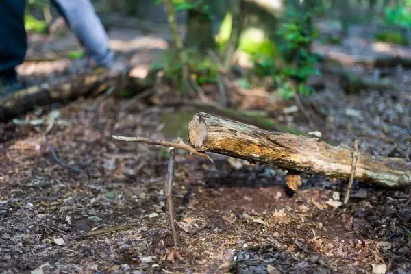 Person baut eine selbstgebaute Seilbrücke im Wald