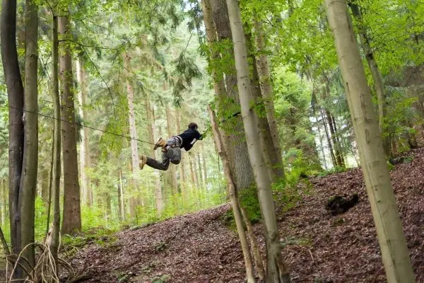 Person schwingt an Seil zwischen Bäumen