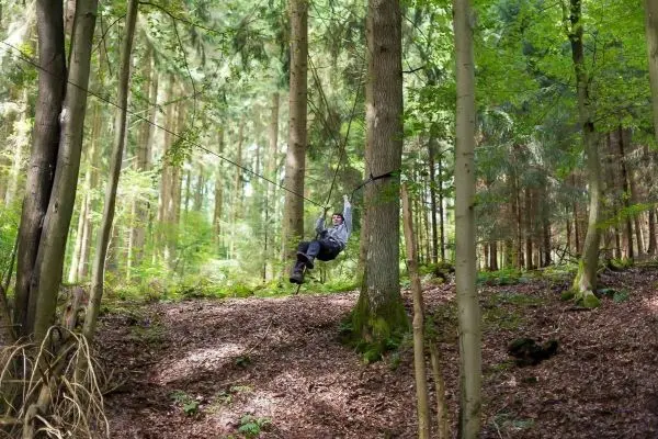 Person schwingt an Seil zwischen Bäumen im Wald