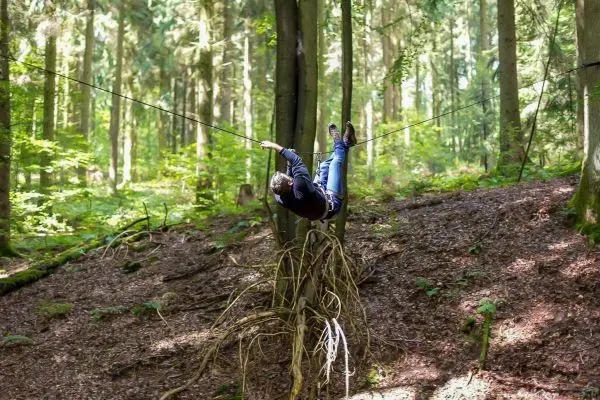 Person schwingt an Seil zwischen Bäumen im Wald