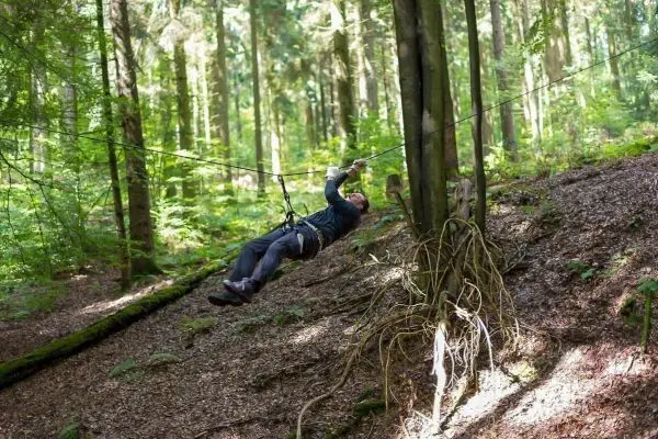 Person schwingt an Seil zwischen Bäumen im Wald