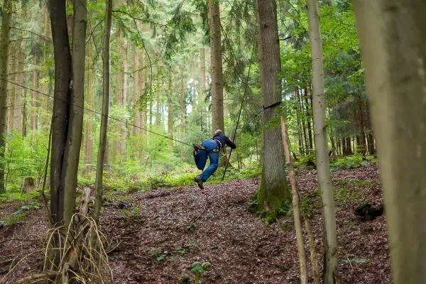 Person überquert eine selbstgebaute Seilbrücke zwischen zwei Bäumen im Wald