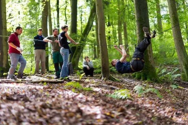 Seilquerung wird von mehreren Personen unterstützt im Wald durchgeführt