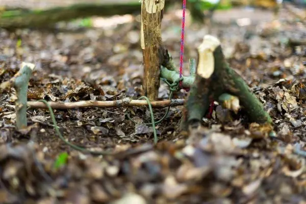 Selbstgebaute Falle aus Ästen und Schnur im Laub