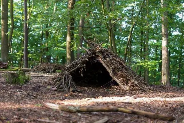 Tarp-Notunterkunft aus Ästen und Laub im Wald aufgebaut