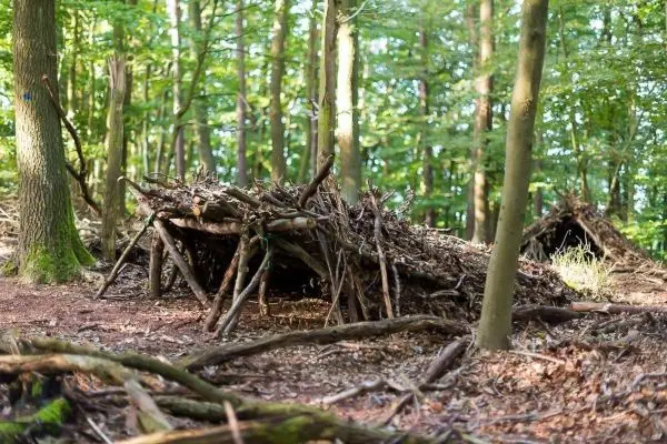 Zwei selbstgebaute Unterkünfte aus Ästen und Laub im Wald