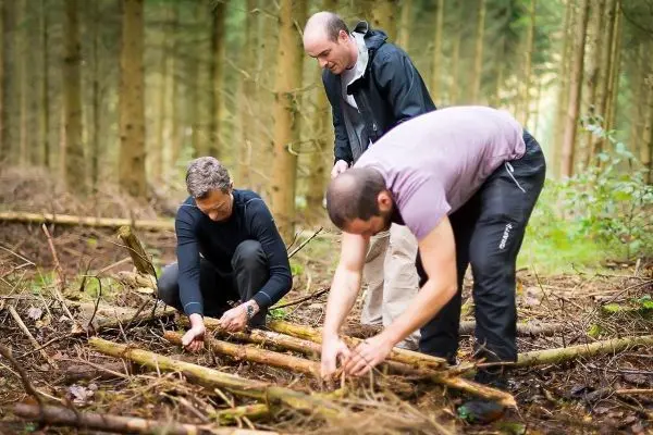 Drei Personen sammeln Äste im Wald für eine Feuerstelle