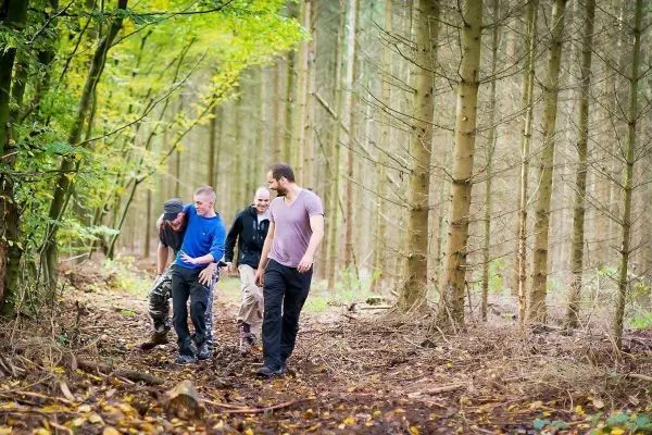 Gruppe von vier Personen wandert auf einem Waldweg zwischen Bäumen