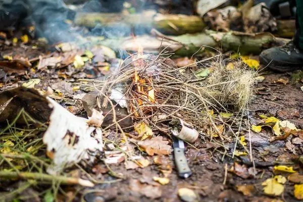 Kleines Bodenfeuer mit Zunder und Ästen auf dem Waldboden