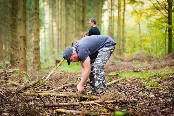 Mann sammelt Äste im Wald für ein Lagerfeuer
