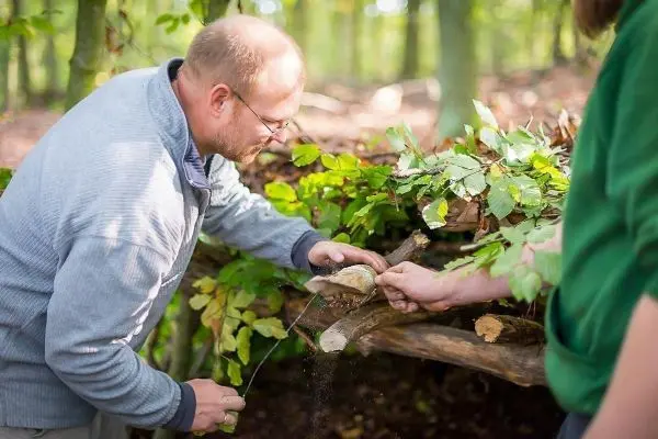 Messer schneidet Holzstück für eine selbstgebaute Konstruktion im Wald