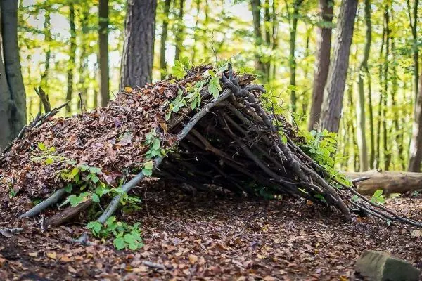 Selbstgebaute Laubhütte aus Ästen und Blättern im Wald