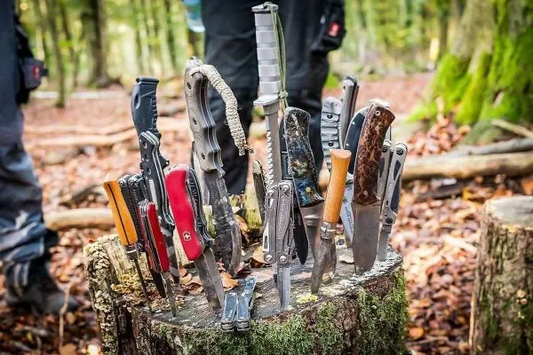 Verschiedene Messer und Werkzeuge stecken in einem Baumstumpf im Wald