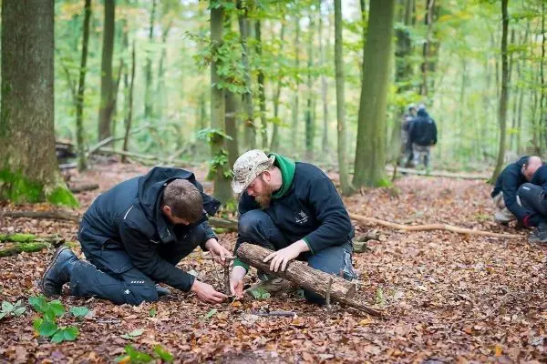 Zwei Personen arbeiten am Boden mit einem Holzstück im Laubwald