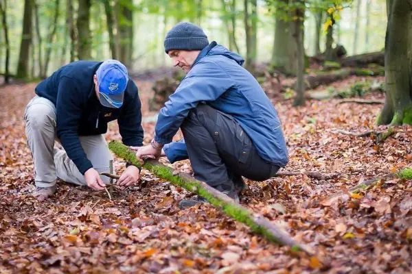 Zwei Personen arbeiten gemeinsam an einem Holzstück im Laubwald
