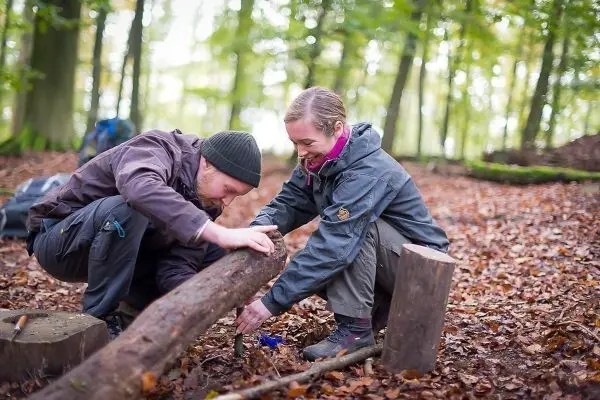 Zwei Personen bearbeiten einen Holzstamm mit Werkzeug im Laubwald