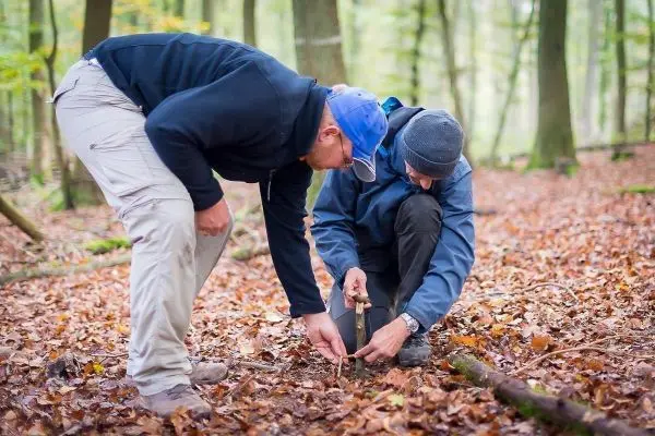 Zwei Personen knien im Laub und bearbeiten den Boden mit einem Werkzeug