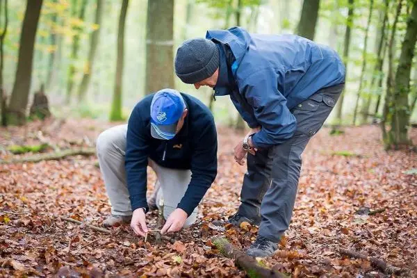Zwei Personen untersuchen den Boden im Wald zwischen Laub und Ästen