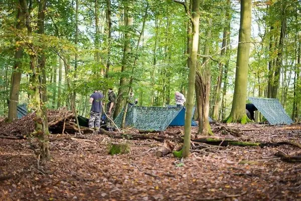 Zwei Tarp-Notunterkünfte stehen zwischen Bäumen, während Personen Holz sammeln
