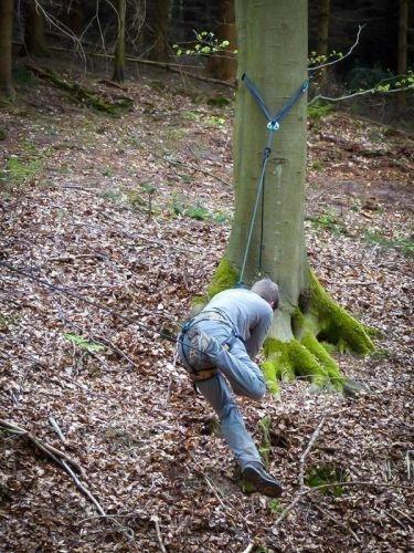 Team-Survival-13010