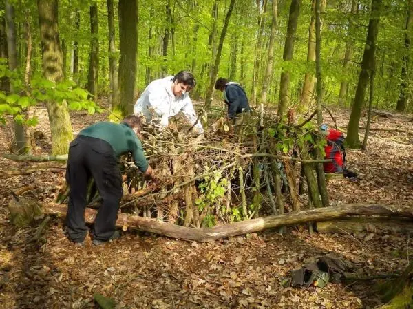 Drei Personen bauen eine Laubhütte aus Ästen im Wald