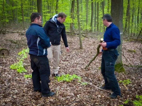 Drei Personen betrachten Pflanzen im Wald auf Laubboden
