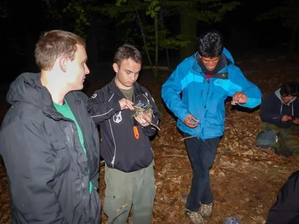 Drei Personen stehen im Wald und beschäftigen sich mit Ausrüstung und Materialien