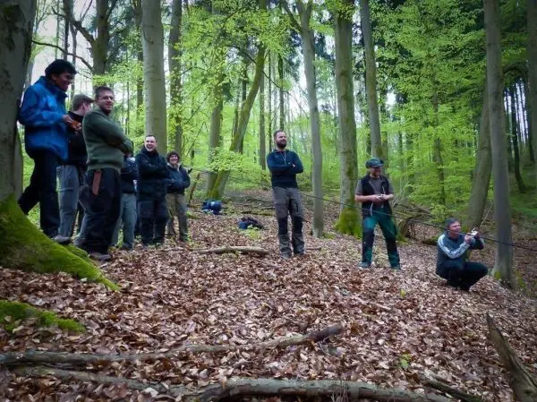 Gruppe beobachtet eine Seilquerung im Wald zwischen Bäumen und Laub