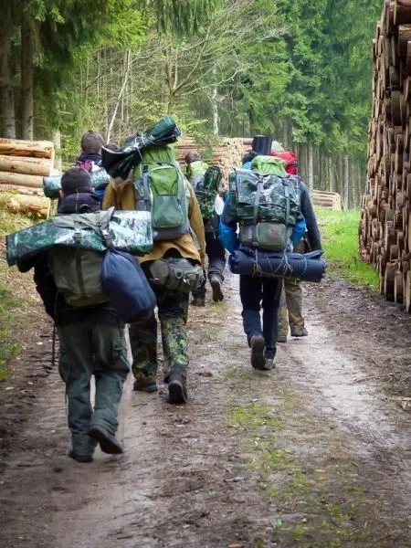 Gruppe mit Rucksäcken wandert auf einem Waldweg entlang Holzstapeln