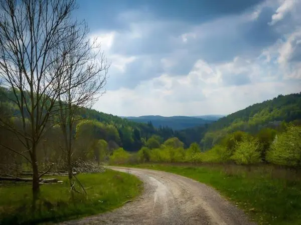 Kurvenreicher Schotterweg führt durch bewaldete Hügellandschaft mit frischem Grün
